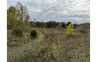 Property photo 5 - LAND AUCTION - 41+/- ACRES OFFERED IN 2 TRACTS IN HILLSDALE COUNTY, MICHIGAN