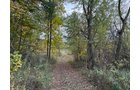 Property photo 6 - LAND AUCTION - 41+/- ACRES OFFERED IN 2 TRACTS IN HILLSDALE COUNTY, MICHIGAN