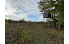 Property photo 3 - LAND AUCTION - 41+/- ACRES OFFERED IN 2 TRACTS IN HILLSDALE COUNTY, MICHIGAN