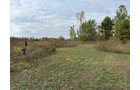 Property photo 7 - LAND AUCTION - 41+/- ACRES OFFERED IN 2 TRACTS IN HILLSDALE COUNTY, MICHIGAN