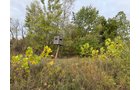 Property photo 8 - LAND AUCTION - 41+/- ACRES OFFERED IN 2 TRACTS IN HILLSDALE COUNTY, MICHIGAN