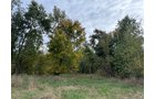 Property photo 9 - LAND AUCTION - 41+/- ACRES OFFERED IN 2 TRACTS IN HILLSDALE COUNTY, MICHIGAN