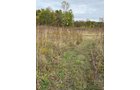 Property photo 10 - LAND AUCTION - 41+/- ACRES OFFERED IN 2 TRACTS IN HILLSDALE COUNTY, MICHIGAN
