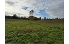 Property photo 11 - LAND AUCTION - 41+/- ACRES OFFERED IN 2 TRACTS IN HILLSDALE COUNTY, MICHIGAN