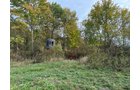Property photo 13 - LAND AUCTION - 41+/- ACRES OFFERED IN 2 TRACTS IN HILLSDALE COUNTY, MICHIGAN