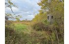 Property photo 14 - LAND AUCTION - 41+/- ACRES OFFERED IN 2 TRACTS IN HILLSDALE COUNTY, MICHIGAN