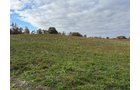 Property photo 15 - LAND AUCTION - 41+/- ACRES OFFERED IN 2 TRACTS IN HILLSDALE COUNTY, MICHIGAN