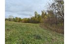Property photo 16 - LAND AUCTION - 41+/- ACRES OFFERED IN 2 TRACTS IN HILLSDALE COUNTY, MICHIGAN