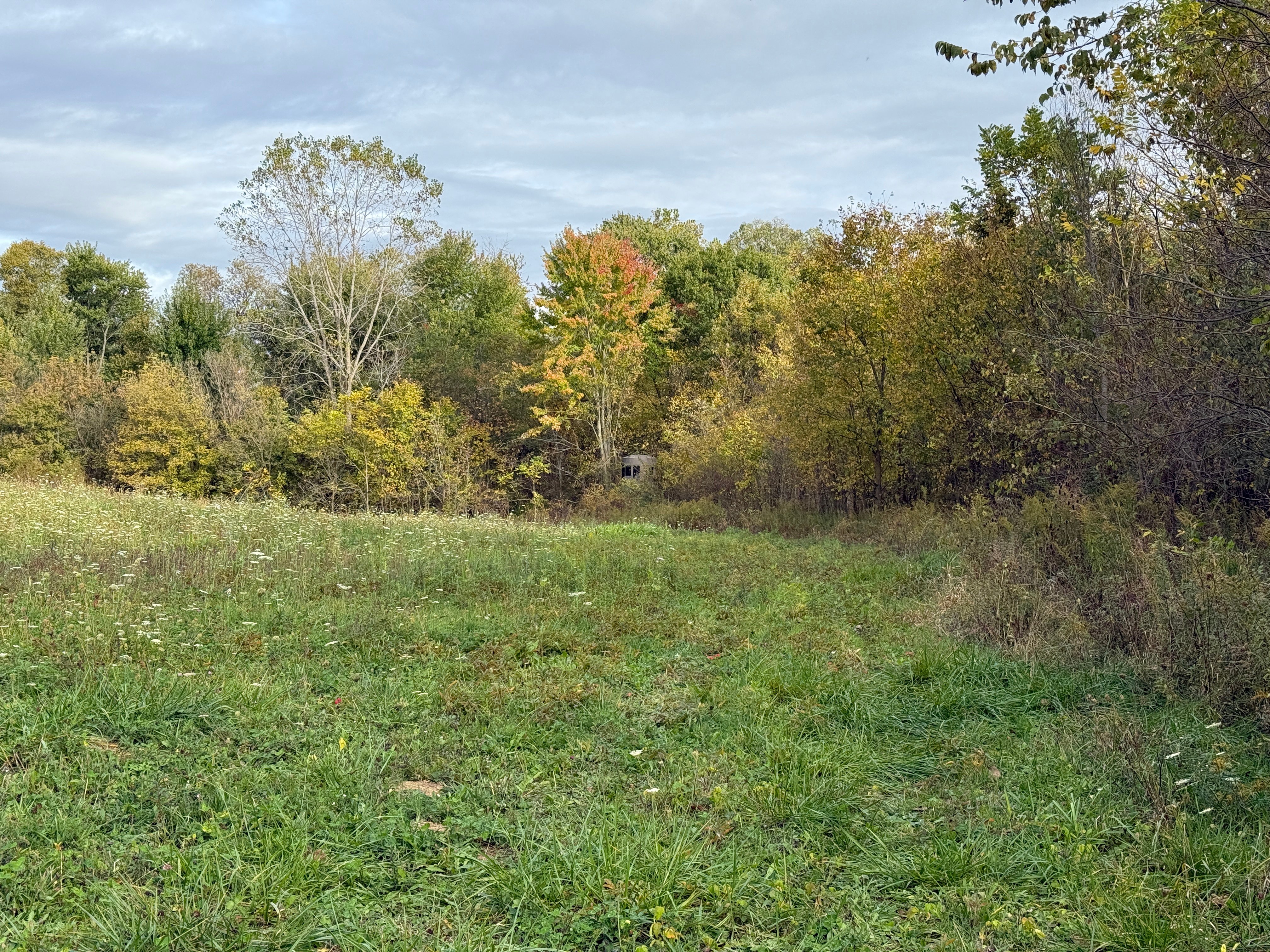 Property photo 17 - LAND AUCTION - 41+/- ACRES OFFERED IN 2 TRACTS IN HILLSDALE COUNTY, MICHIGAN