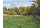 Property photo 17 - LAND AUCTION - 41+/- ACRES OFFERED IN 2 TRACTS IN HILLSDALE COUNTY, MICHIGAN