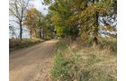 Property photo 18 - LAND AUCTION - 41+/- ACRES OFFERED IN 2 TRACTS IN HILLSDALE COUNTY, MICHIGAN