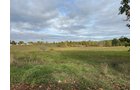 Property photo 19 - LAND AUCTION - 41+/- ACRES OFFERED IN 2 TRACTS IN HILLSDALE COUNTY, MICHIGAN