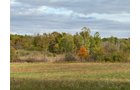 Property photo 20 - LAND AUCTION - 41+/- ACRES OFFERED IN 2 TRACTS IN HILLSDALE COUNTY, MICHIGAN