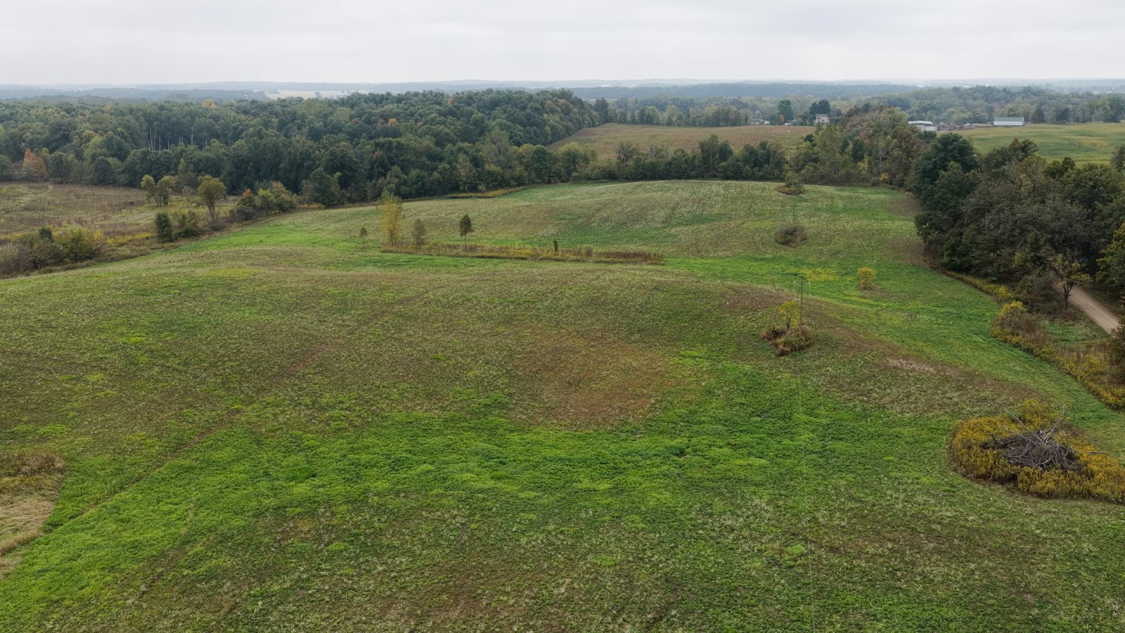 Property photo 25 - LAND AUCTION - 41+/- ACRES OFFERED IN 2 TRACTS IN HILLSDALE COUNTY, MICHIGAN