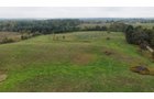 Property photo 25 - LAND AUCTION - 41+/- ACRES OFFERED IN 2 TRACTS IN HILLSDALE COUNTY, MICHIGAN