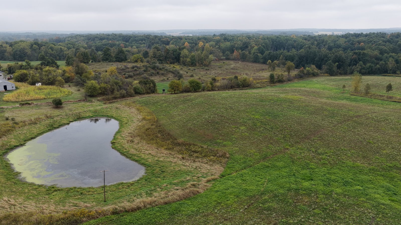 Property photo 26 - LAND AUCTION - 41+/- ACRES OFFERED IN 2 TRACTS IN HILLSDALE COUNTY, MICHIGAN