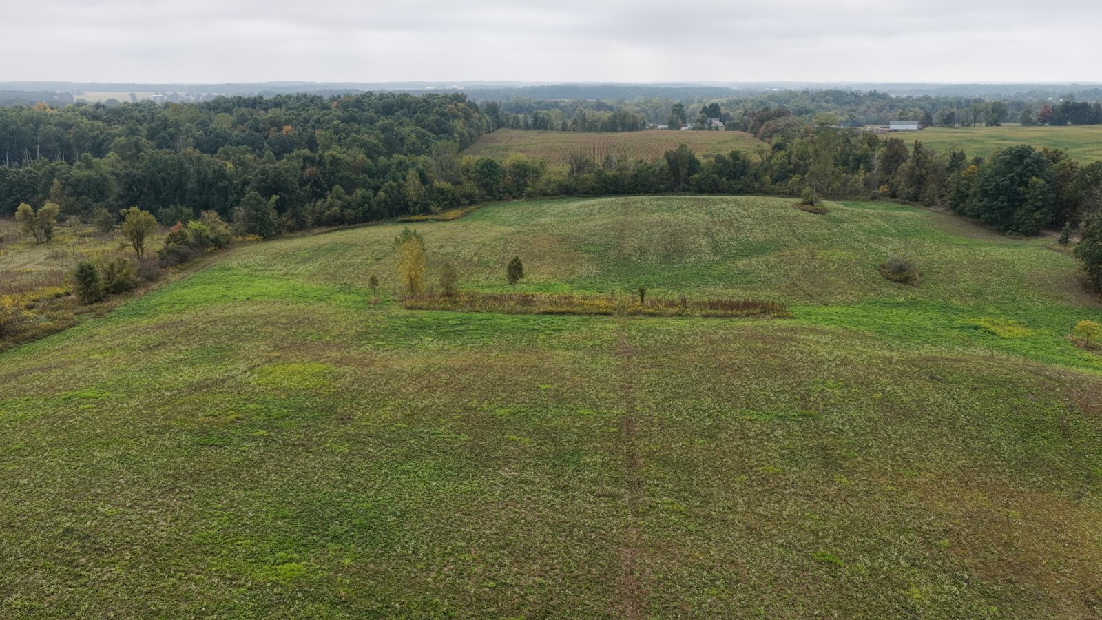 Property photo 4 - LAND AUCTION - 41+/- ACRES OFFERED IN 2 TRACTS IN HILLSDALE COUNTY, MICHIGAN
