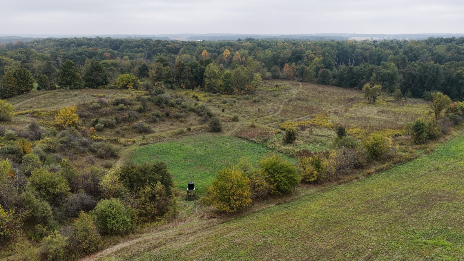 Property photo 27 - LAND AUCTION - 41+/- ACRES OFFERED IN 2 TRACTS IN HILLSDALE COUNTY, MICHIGAN