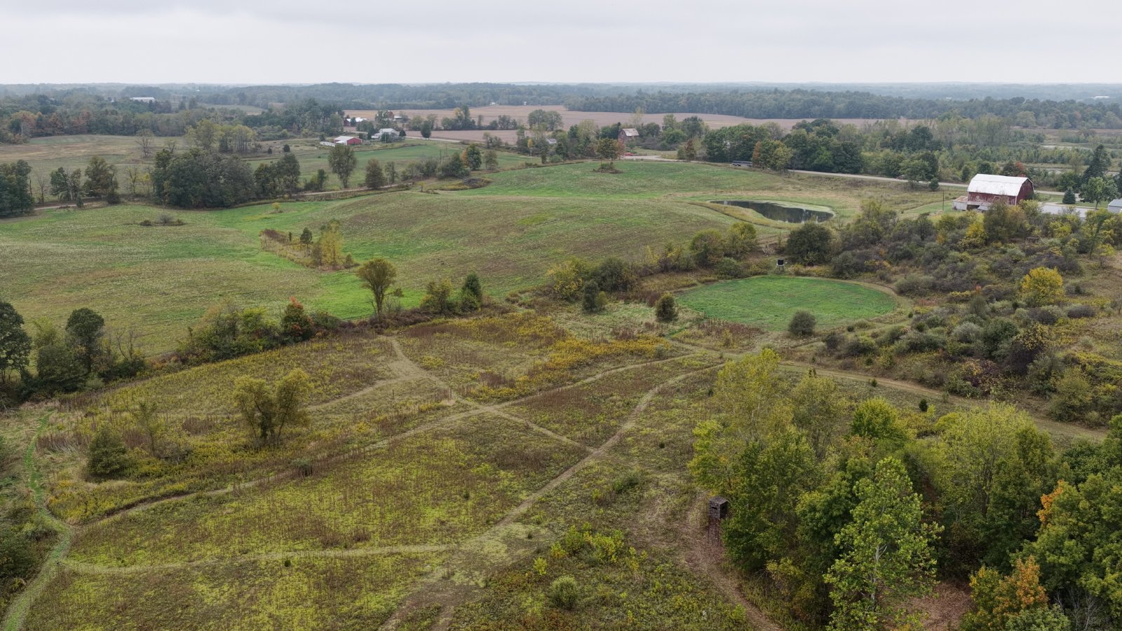 Property photo 21 - LAND AUCTION - 41+/- ACRES OFFERED IN 2 TRACTS IN HILLSDALE COUNTY, MICHIGAN