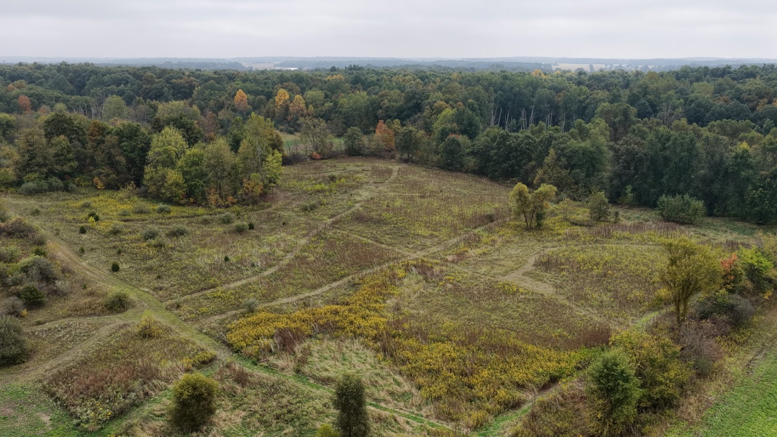 Property photo 29 - LAND AUCTION - 41+/- ACRES OFFERED IN 2 TRACTS IN HILLSDALE COUNTY, MICHIGAN