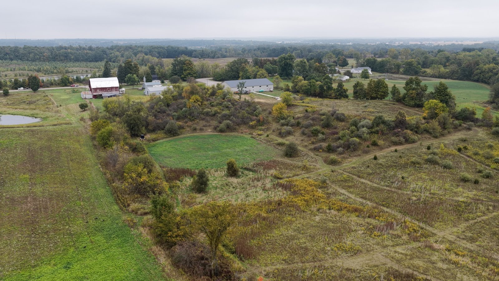 Property photo 30 - LAND AUCTION - 41+/- ACRES OFFERED IN 2 TRACTS IN HILLSDALE COUNTY, MICHIGAN