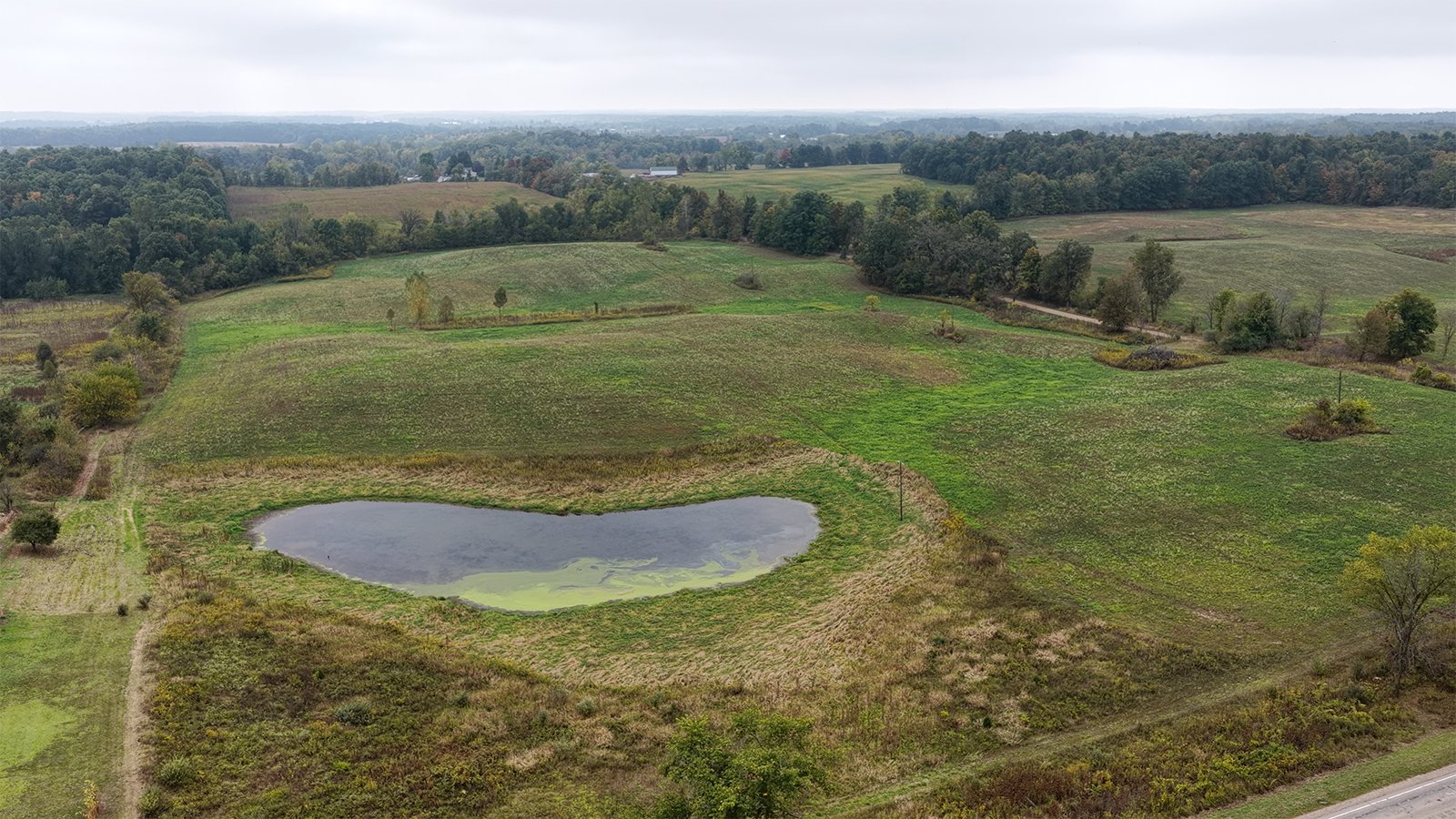 Property photo 31 - LAND AUCTION - 41+/- ACRES OFFERED IN 2 TRACTS IN HILLSDALE COUNTY, MICHIGAN