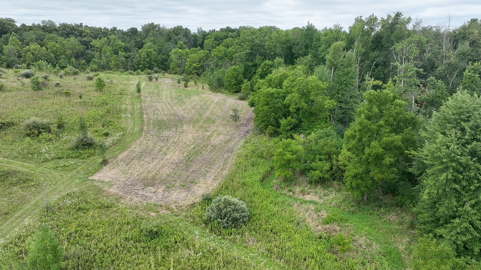 Property photo 12 - LAND AUCTION - 41.5+/-ACRES OFFERED IN 2 TRACTS IN STEUBEN COUNTY, INDIANA