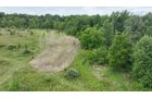 Property photo 12 - LAND AUCTION - 41.5+/-ACRES OFFERED IN 2 TRACTS IN STEUBEN COUNTY, INDIANA