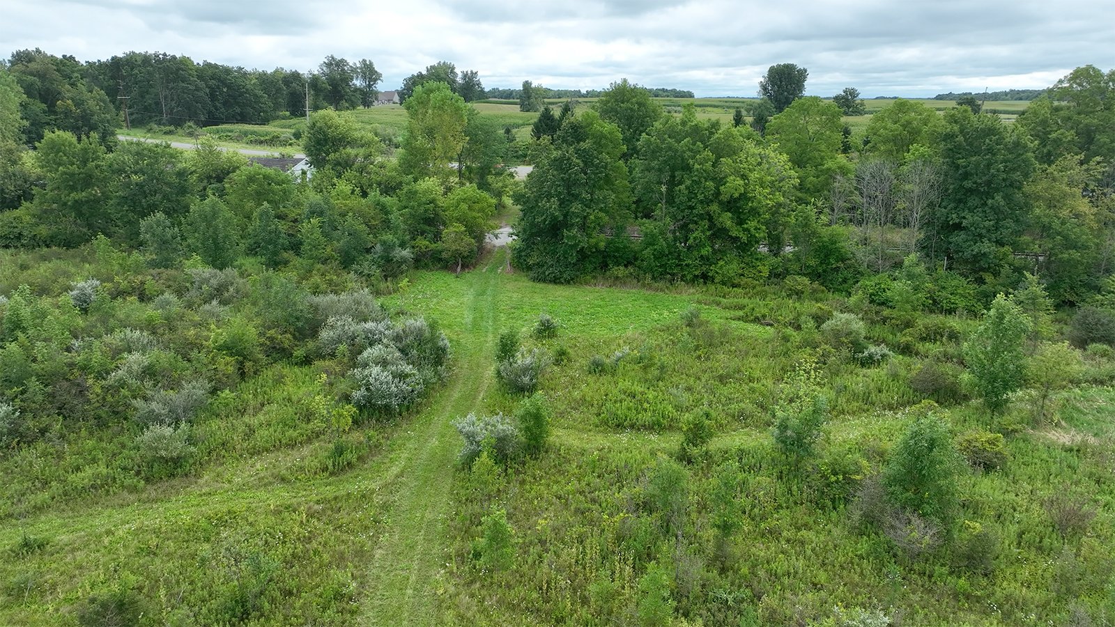 Property photo 11 - LAND AUCTION - 41.5+/-ACRES OFFERED IN 2 TRACTS IN STEUBEN COUNTY, INDIANA
