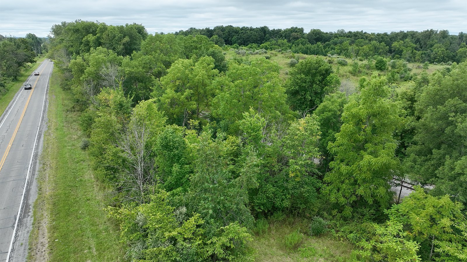 Property photo 10 - LAND AUCTION - 41.5+/-ACRES OFFERED IN 2 TRACTS IN STEUBEN COUNTY, INDIANA