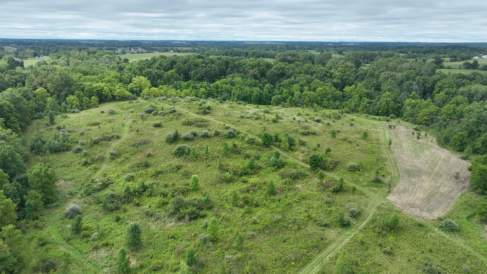 Property photo 8 - LAND AUCTION - 41.5+/-ACRES OFFERED IN 2 TRACTS IN STEUBEN COUNTY, INDIANA