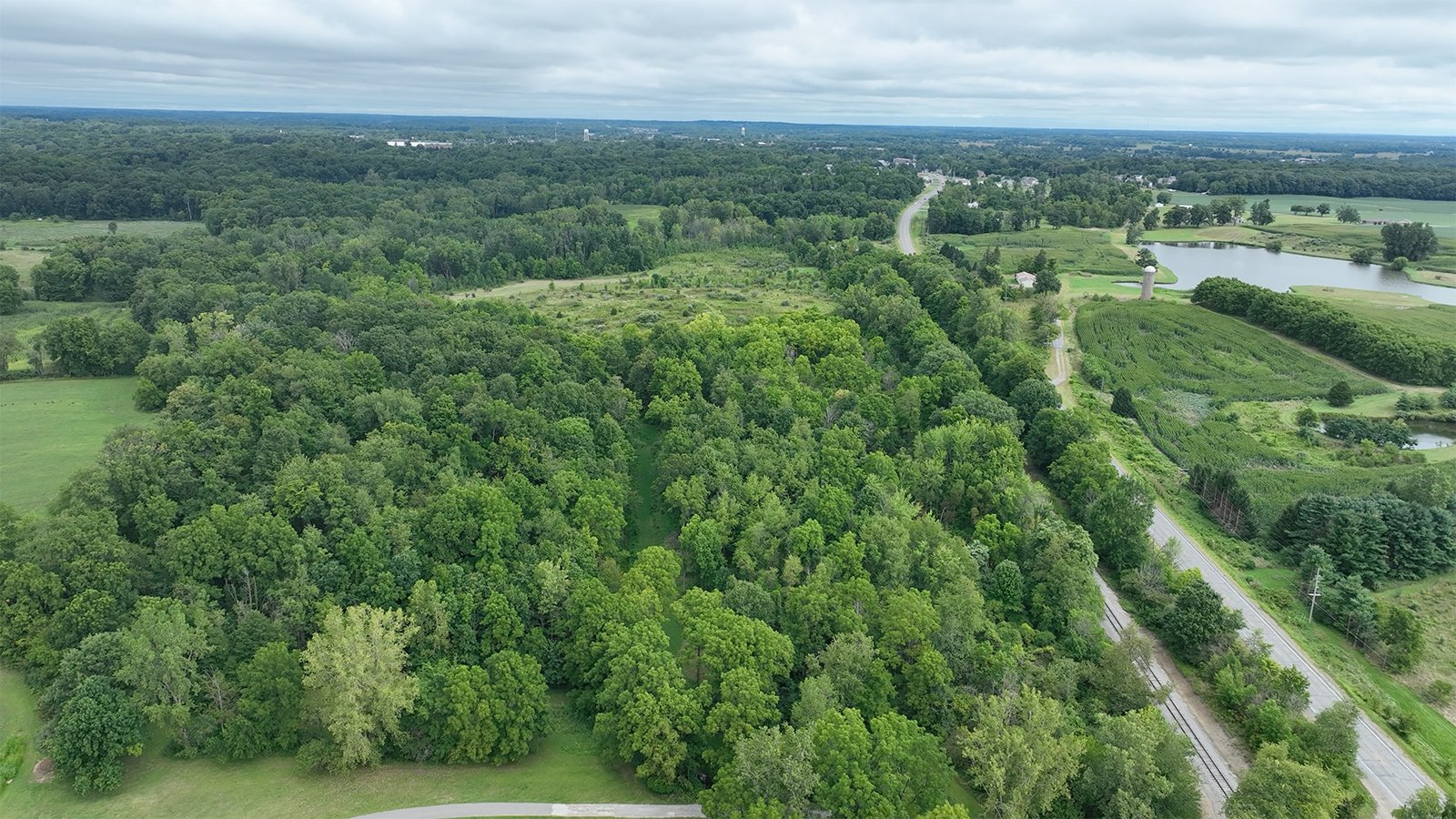 Property photo 6 - LAND AUCTION - 41.5+/-ACRES OFFERED IN 2 TRACTS IN STEUBEN COUNTY, INDIANA