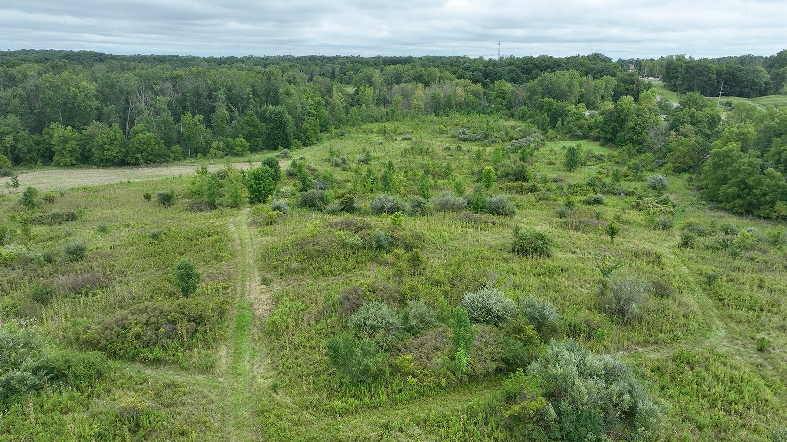 Property photo 5 - LAND AUCTION - 41.5+/-ACRES OFFERED IN 2 TRACTS IN STEUBEN COUNTY, INDIANA