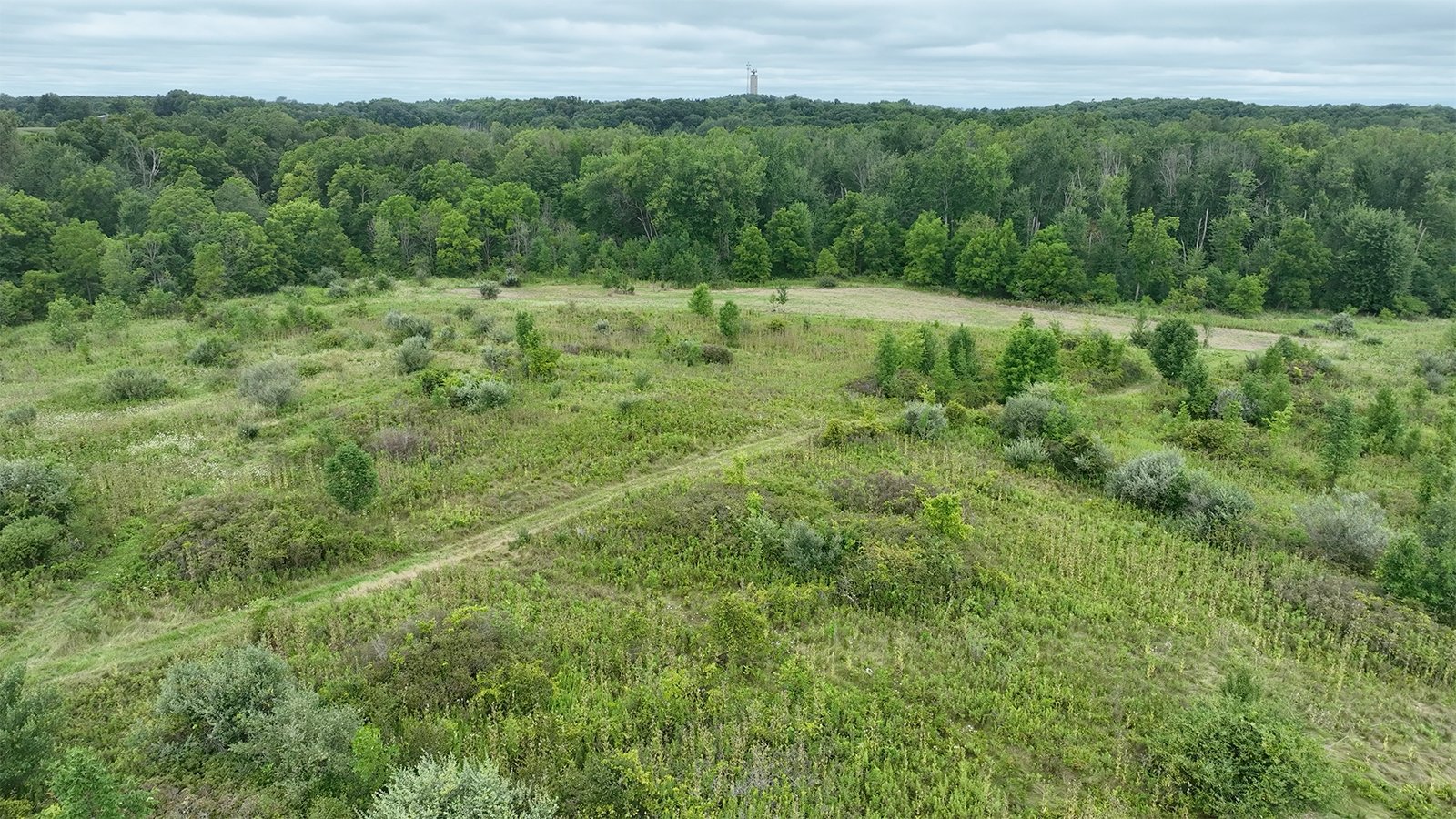 Property photo 4 - LAND AUCTION - 41.5+/-ACRES OFFERED IN 2 TRACTS IN STEUBEN COUNTY, INDIANA