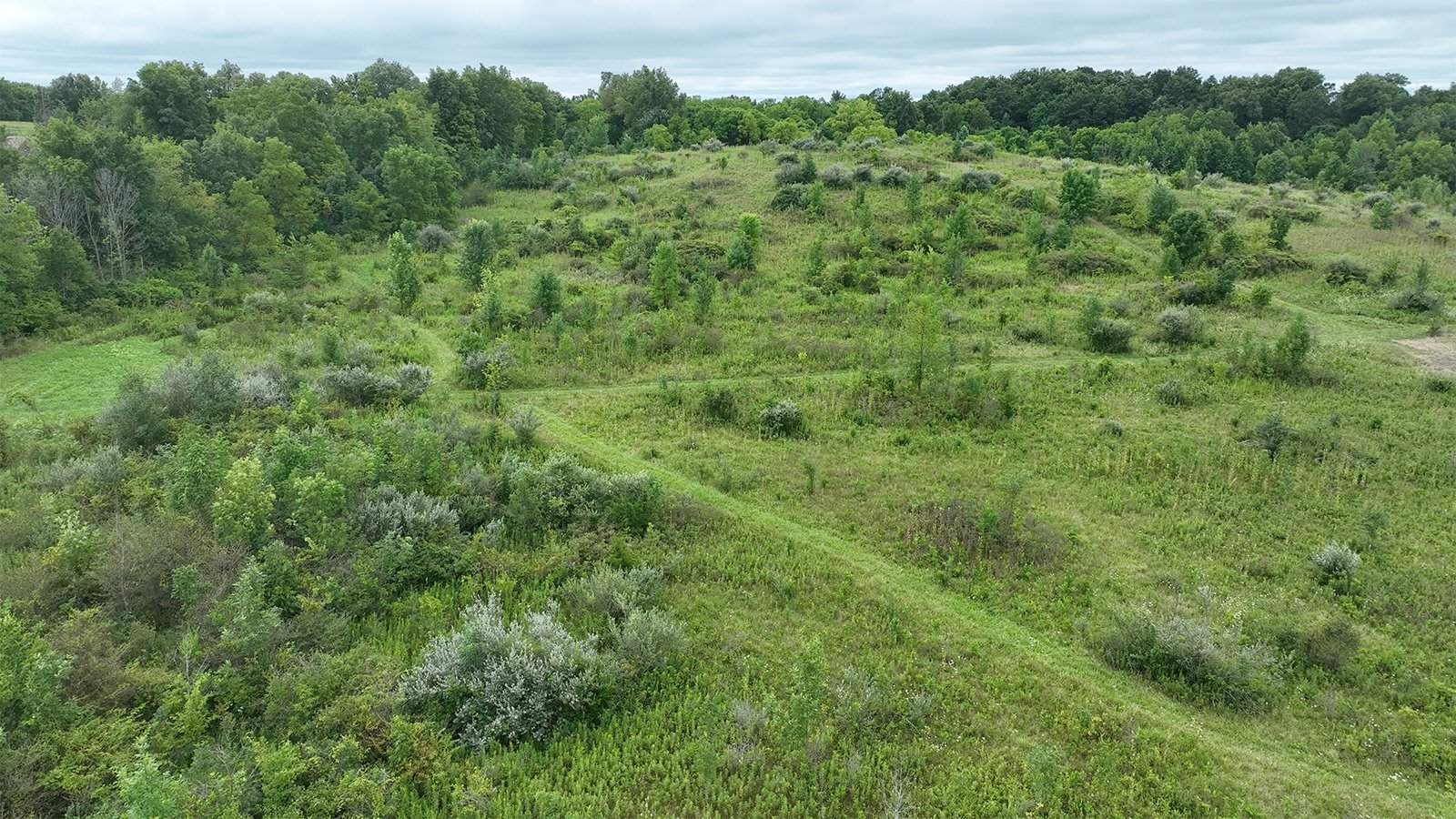 Property photo 2 - LAND AUCTION - 41.5+/-ACRES OFFERED IN 2 TRACTS IN STEUBEN COUNTY, INDIANA
