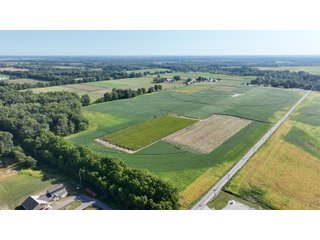 Property photo 3 - FARMLAND AUCTION - 80+/- ACRES OFFERED IN 4 TRACTS IN LAGRANGE COUNTY, INDIANA