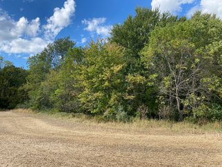 Property photo 17 - FARMLAND AUCTION - 80+/- ACRES OFFERED IN 4 TRACTS IN LAGRANGE COUNTY, INDIANA