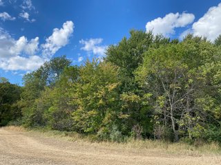 Property photo 18 - FARMLAND AUCTION - 80+/- ACRES OFFERED IN 4 TRACTS IN LAGRANGE COUNTY, INDIANA