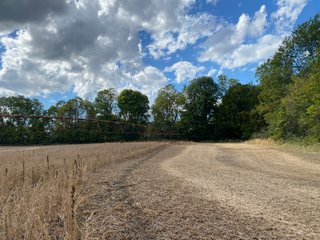 Property photo 19 - FARMLAND AUCTION - 80+/- ACRES OFFERED IN 4 TRACTS IN LAGRANGE COUNTY, INDIANA