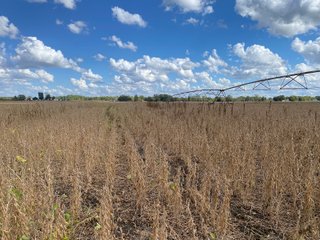 Property photo 20 - FARMLAND AUCTION - 80+/- ACRES OFFERED IN 4 TRACTS IN LAGRANGE COUNTY, INDIANA