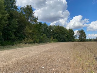 Property photo 22 - FARMLAND AUCTION - 80+/- ACRES OFFERED IN 4 TRACTS IN LAGRANGE COUNTY, INDIANA