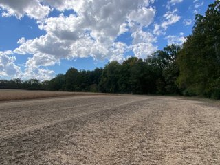 Property photo 23 - FARMLAND AUCTION - 80+/- ACRES OFFERED IN 4 TRACTS IN LAGRANGE COUNTY, INDIANA