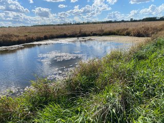 Property photo 25 - FARMLAND AUCTION - 80+/- ACRES OFFERED IN 4 TRACTS IN LAGRANGE COUNTY, INDIANA