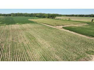 Property photo 11 - FARMLAND AUCTION - 80+/- ACRES OFFERED IN 4 TRACTS IN LAGRANGE COUNTY, INDIANA