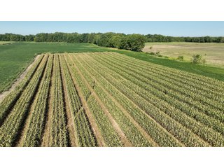 Property photo 12 - FARMLAND AUCTION - 80+/- ACRES OFFERED IN 4 TRACTS IN LAGRANGE COUNTY, INDIANA
