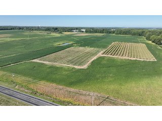 Property photo 13 - FARMLAND AUCTION - 80+/- ACRES OFFERED IN 4 TRACTS IN LAGRANGE COUNTY, INDIANA