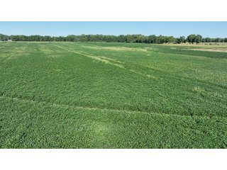 Property photo 14 - FARMLAND AUCTION - 80+/- ACRES OFFERED IN 4 TRACTS IN LAGRANGE COUNTY, INDIANA