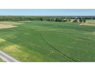 Property photo 5 - FARMLAND AUCTION - 80+/- ACRES OFFERED IN 4 TRACTS IN LAGRANGE COUNTY, INDIANA