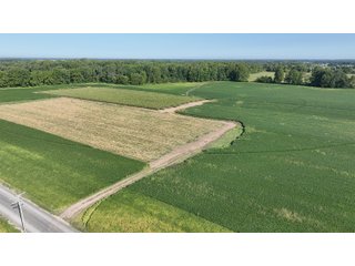 Property photo 6 - FARMLAND AUCTION - 80+/- ACRES OFFERED IN 4 TRACTS IN LAGRANGE COUNTY, INDIANA
