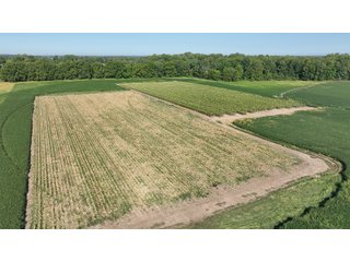 Property photo 7 - FARMLAND AUCTION - 80+/- ACRES OFFERED IN 4 TRACTS IN LAGRANGE COUNTY, INDIANA